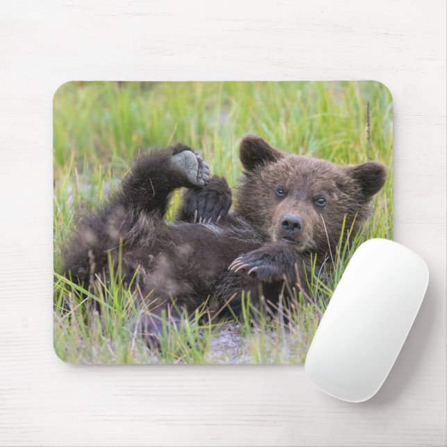 Cutest Baby Animals | Baby Brown Bear Cub Mouse Pad (With Mouse)