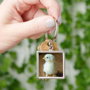 Cutest Baby Animals Baby Chick Key Ring