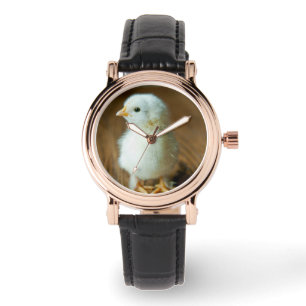 Cutest Baby Animals Baby Chick Watch