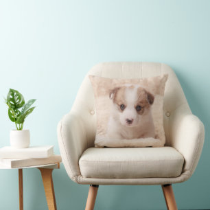 Cutest Baby Animals Baby Corgi Cushion