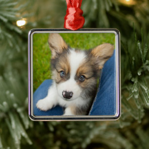 Cutest Baby Animals Baby Corgi in My Lap Metal Tree Decoration