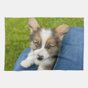 Cutest Baby Animals Baby Corgi in My Lap Tea Towel