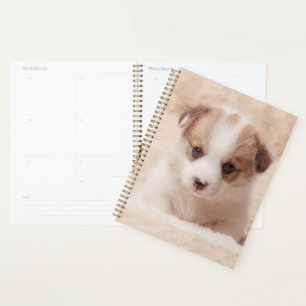 Cutest Baby Animals Baby Corgi Planner