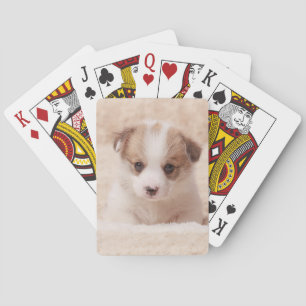 Cutest Baby Animals Baby Corgi Playing Cards