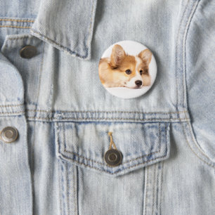 Cutest Baby Animals Baby Corgi Puppy Portrait 6 Cm Round Badge