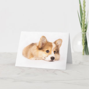 Cutest Baby Animals Baby Corgi Puppy Portrait Card