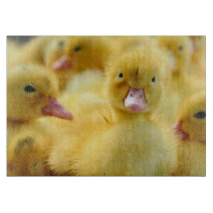 Cutest Baby Animals   Baby Duck Group Cutting Board