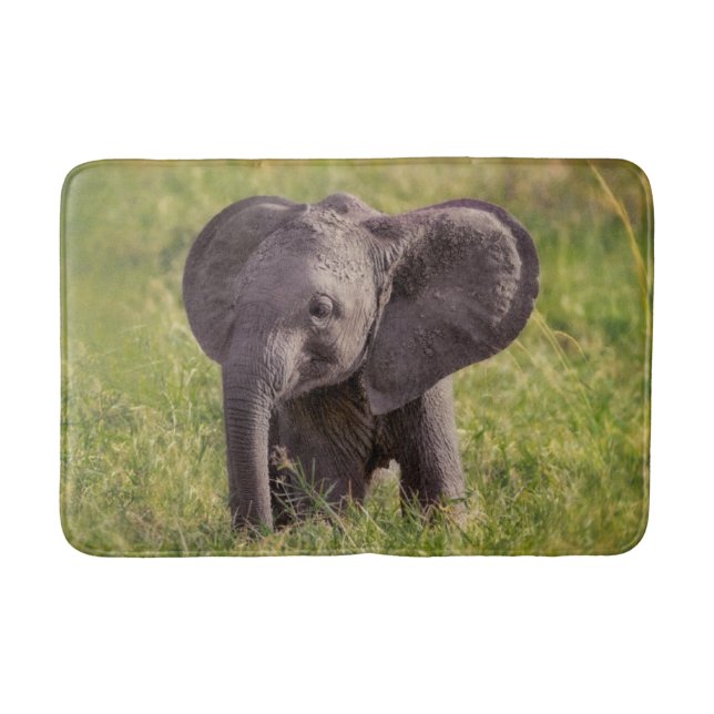 Cutest Baby Animals | Baby Elephant Kenya Africa Bath Mat (Front)