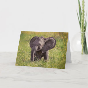 Cutest Baby Animals   Baby Elephant Kenya Africa Card