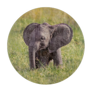 Cutest Baby Animals Baby Elephant Kenya Africa Cutting Board
