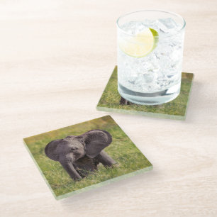 Cutest Baby Animals Baby Elephant Kenya Africa Glass Coaster