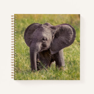 Cutest Baby Animals   Baby Elephant Kenya Africa Notebook