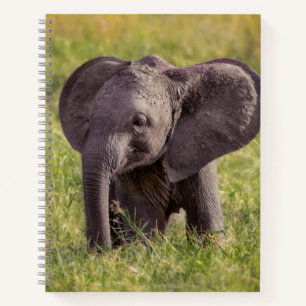Cutest Baby Animals Baby Elephant Kenya Africa Notebook
