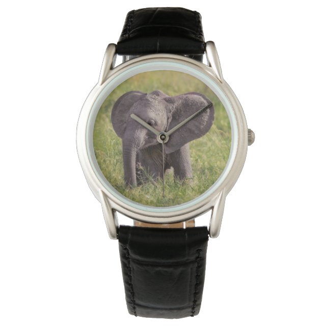 Cutest Baby Animals | Baby Elephant Kenya Africa Watch (Front)