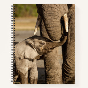 Cutest Baby Animals Baby Elephant & Mama Notebook