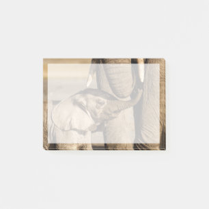 Cutest Baby Animals   Baby Elephant & Mama Post-it Notes