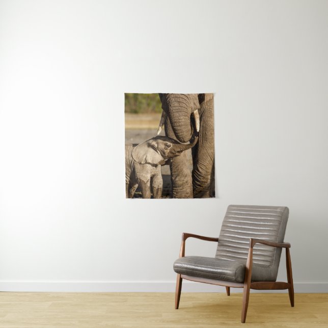 Cutest Baby Animals | Baby Elephant & Mama Tapestry (In Situ)