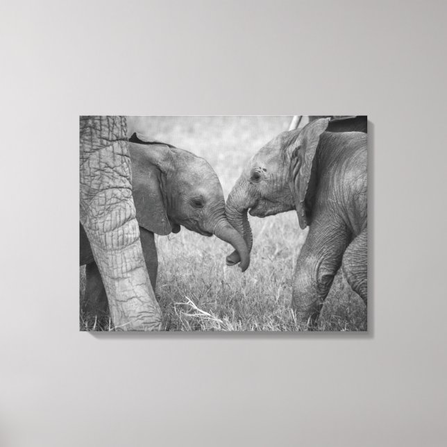 Cutest Baby Animals | Baby Elephants Greeting Canvas Print (Front)