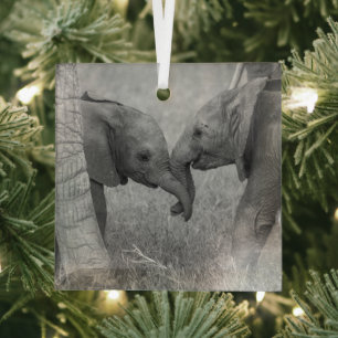 Cutest Baby Animals   Baby Elephants Greeting Glass Tree Decoration