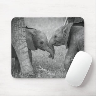 Cutest Baby Animals   Baby Elephants Greeting Mouse Pad