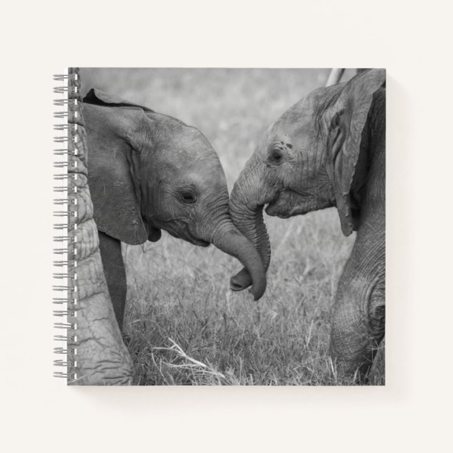 Cutest Baby Animals | Baby Elephants Greeting Notebook (Front)