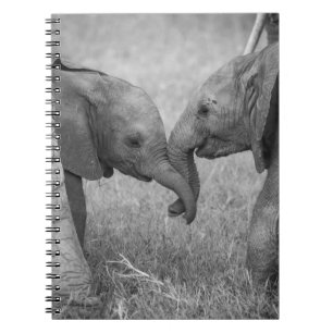 Cutest Baby Animals   Baby Elephants Greeting Notebook