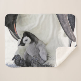 Cutest Baby Animals   Baby Emperor Penguin Sherpa Blanket