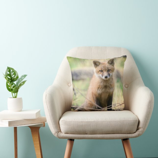 Cutest Baby Animals | Baby Fox Cushion (Chair)