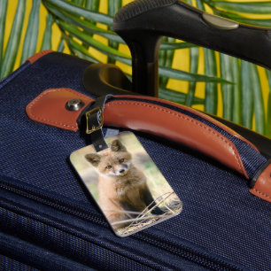 Cutest Baby Animals   Baby Fox Luggage Tag