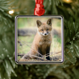 Cutest Baby Animals Baby Fox Metal Tree Decoration