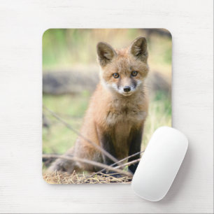 Cutest Baby Animals Baby Fox Mouse Pad