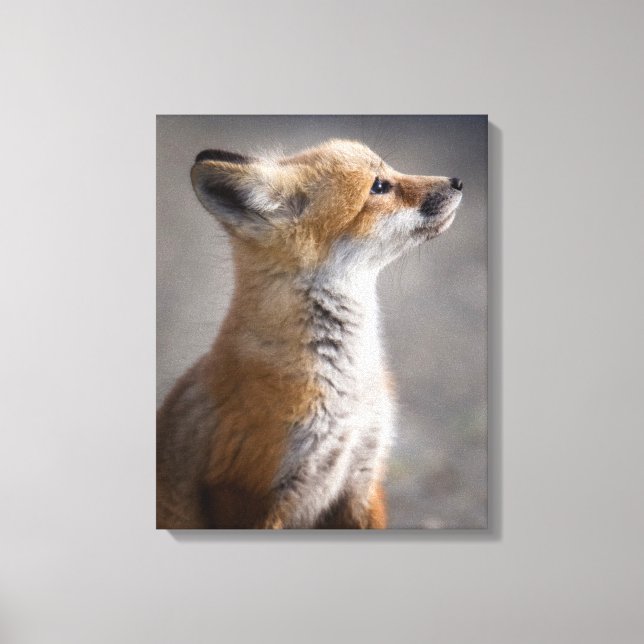 Cutest Baby Animals | Baby Fox Portrait Canvas Print (Front)