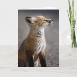 Cutest Baby Animals Baby Fox Portrait Card