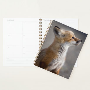 Cutest Baby Animals Baby Fox Portrait Planner