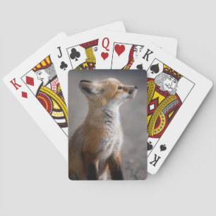 Cutest Baby Animals Baby Fox Portrait Playing Cards