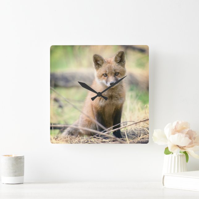 Cutest Baby Animals | Baby Fox Square Wall Clock (Home)