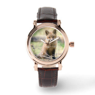 Cutest Baby Animals   Baby Fox Watch