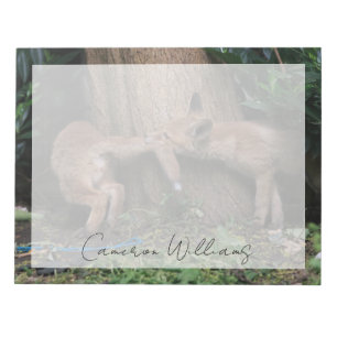 Cutest Baby Animals Baby Foxes Playing Notepad
