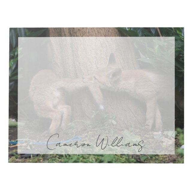 Cutest Baby Animals | Baby Foxes Playing Notepad (Front)