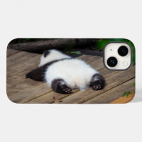 Cutest Baby Animals | Baby Giant Panda Sleeping