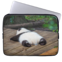 Cutest Baby Animals | Baby Giant Panda Sleeping