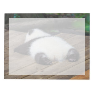 Cutest Baby Animals   Baby Giant Panda Sleeping Notepad