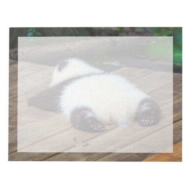 Cutest Baby Animals | Baby Giant Panda Sleeping Notepad (Front)