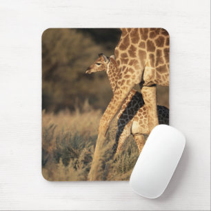 Cutest Baby Animals   Baby Giraffe & Parent Mouse Pad