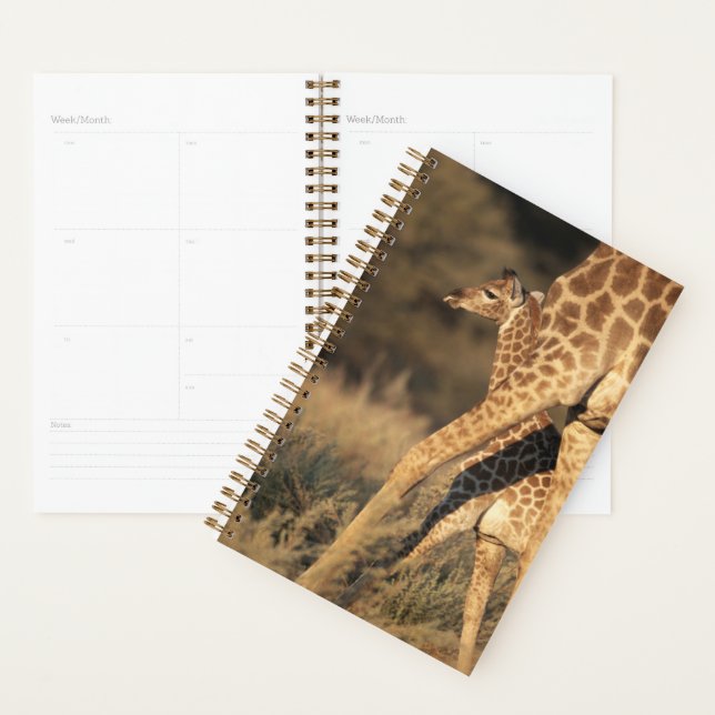 Cutest Baby Animals | Baby Giraffe & Parent Planner (Display)
