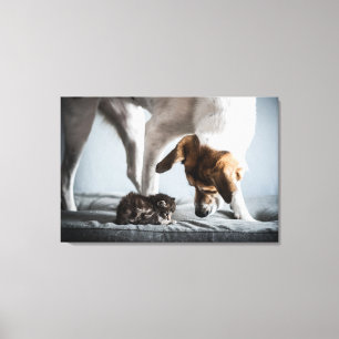 Cutest Baby Animals Baby Kitten & Dog Canvas Print