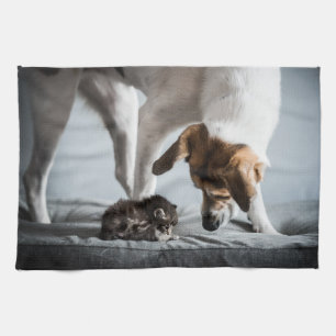 Cutest Baby Animals Baby Kitten & Dog Tea Towel