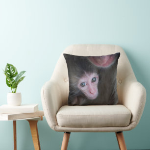 Cutest Baby Animals   Baby Macaque Monkey & Mother Cushion