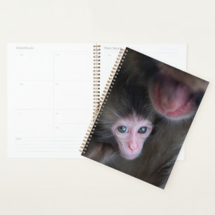 Cutest Baby Animals Baby Macaque Monkey & Mother Planner