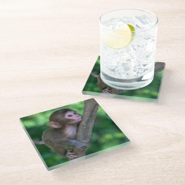 Cutest Baby Animals | Baby Monkey Glass Coaster (Angled)